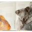 Bébés animaux grandeur nature