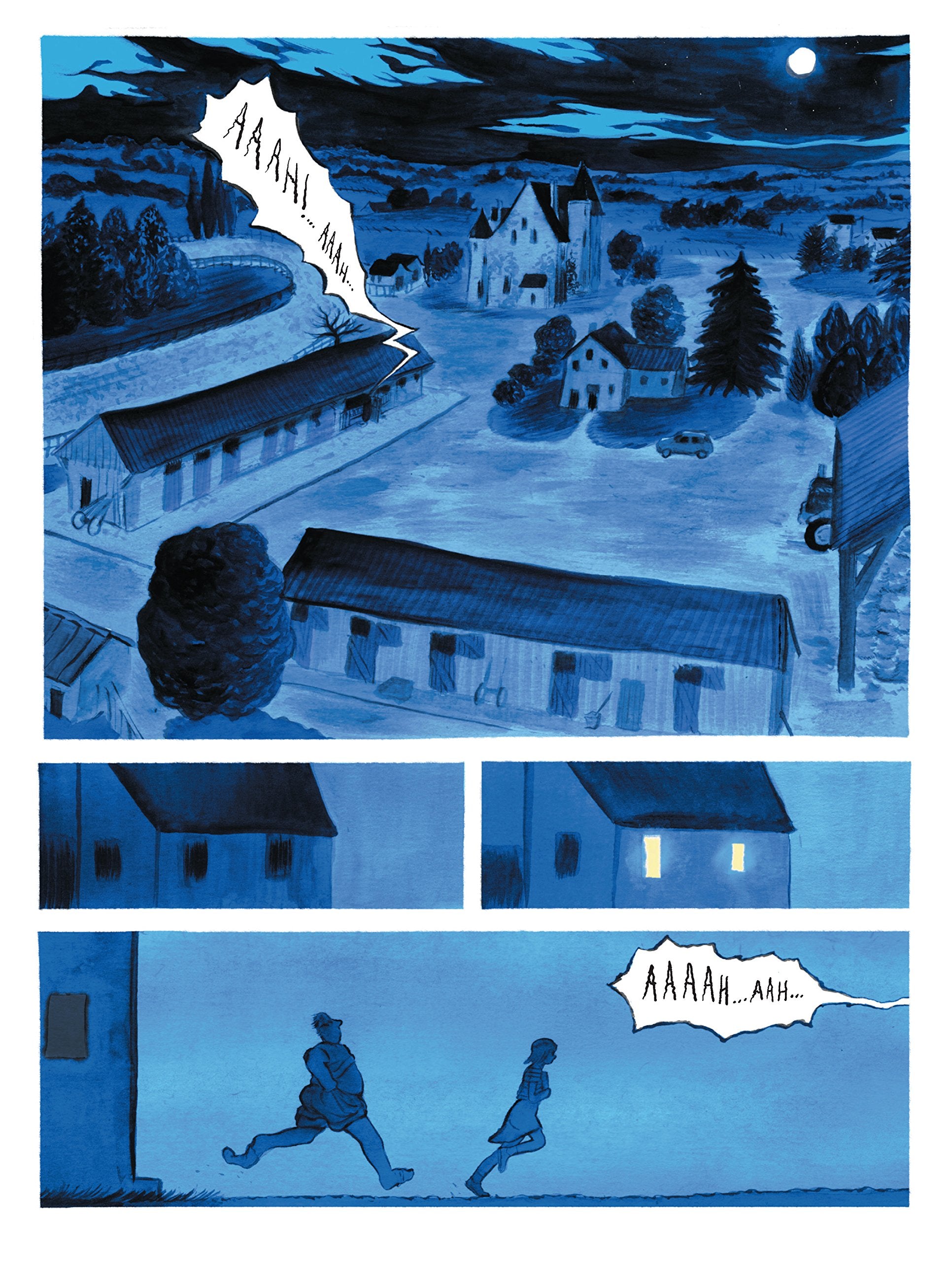 TEMPETE AU HARAS (BD)
