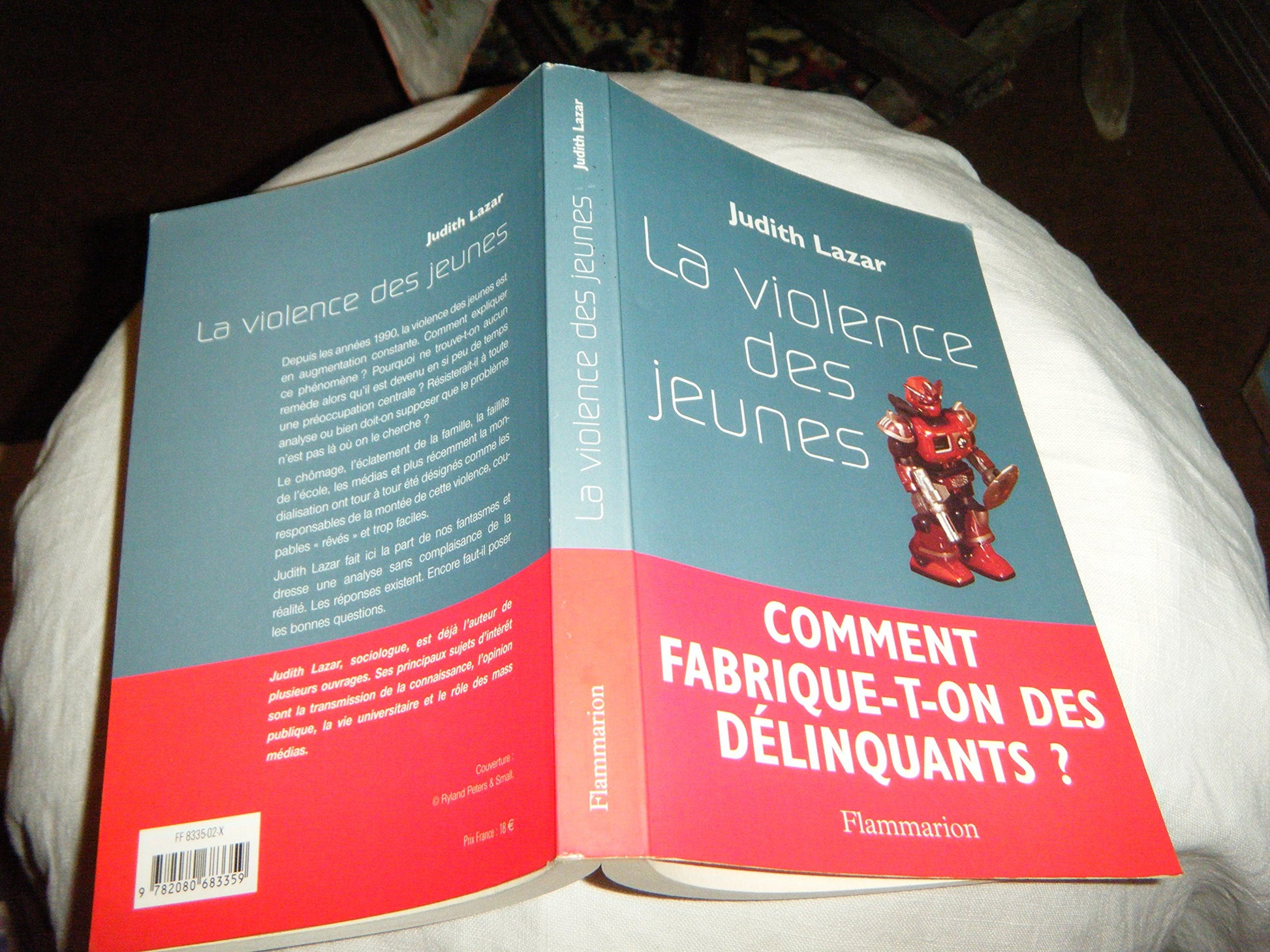 La Violence des jeunes : Comment fabrique-t-on des délinquants ?