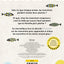 10 secrets sur... Les manchots
