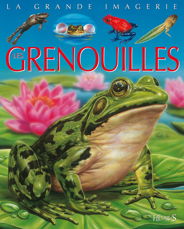 Les grenouilles