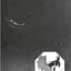 Mimizuku et le roi de la nuit - Tome 2