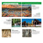Guide Vert Thaïlande