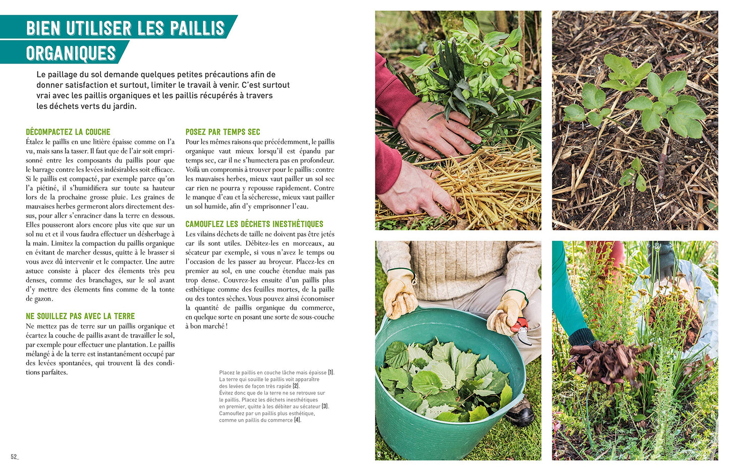 Désherber sans glyphosate - Toutes les solutions bio: Toutes les solutions bio