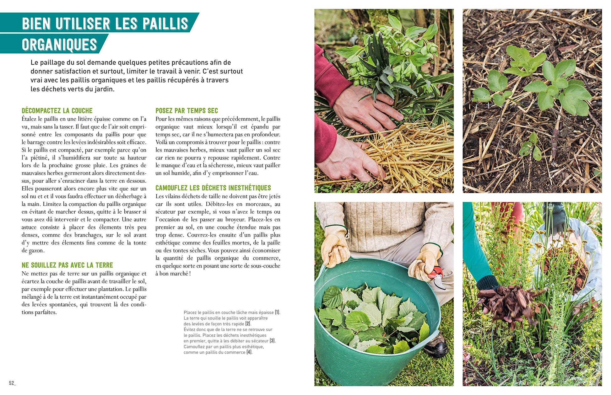 Désherber sans glyphosate - Toutes les solutions bio: Toutes les solutions bio