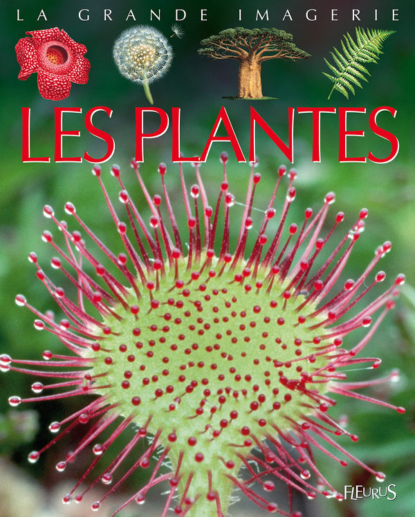 Les plantes