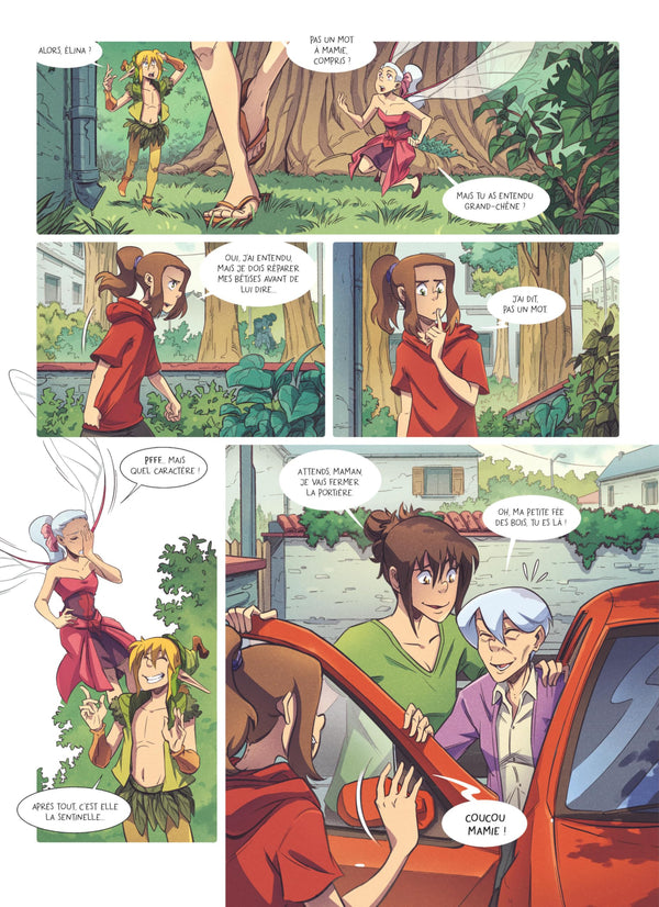 La sentinelle du Petit Peuple - Tome 4 - La vengeance des Gobelins