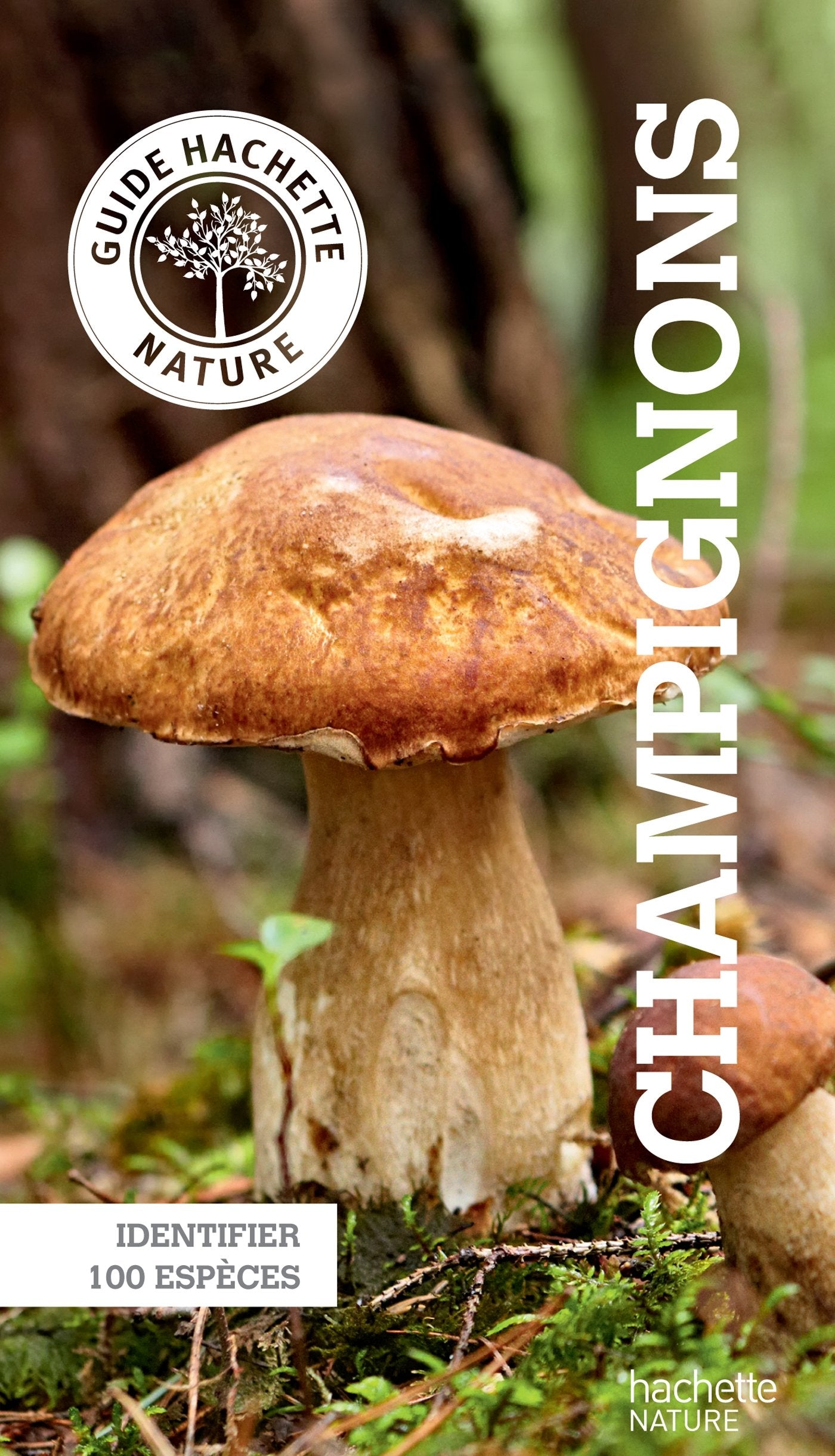 Champignons: Identifier 100 espèces
