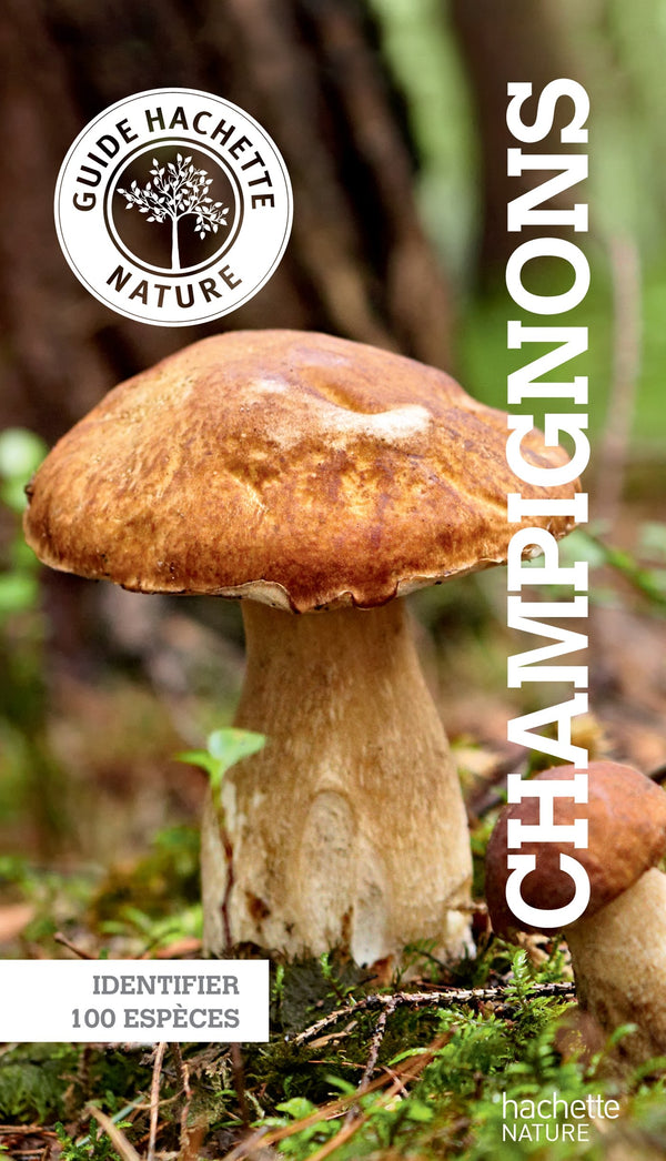 Champignons: Identifier 100 espèces