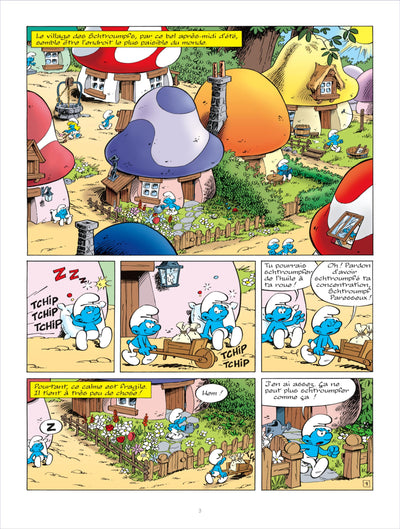 Les Schtroumpfs Lombard - Tome 30 - Les Schtroumpfs de l'ordre