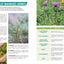 Désherber sans glyphosate - Toutes les solutions bio: Toutes les solutions bio