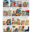Marsupilami. Tome 14. Un fils en or