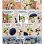 Kid Paddle, tome 4 : Full métal casquette