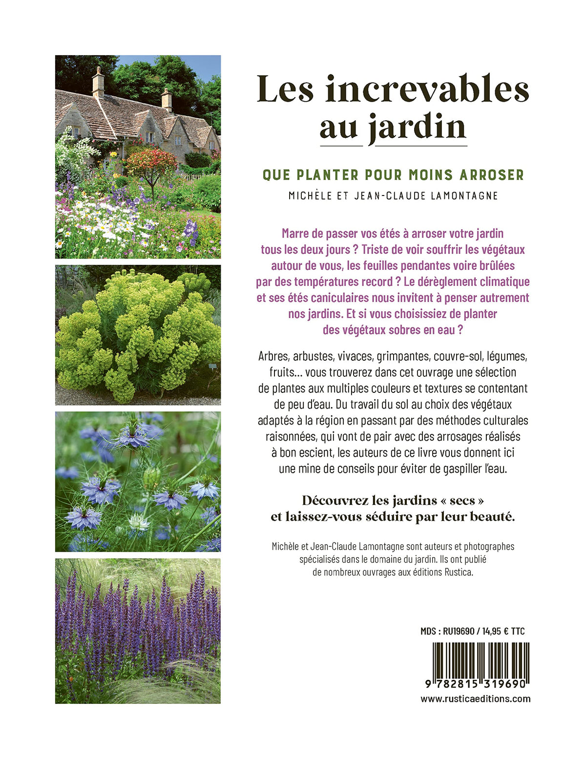 Les increvables au jardin: Que planter pour moins arroser ?
