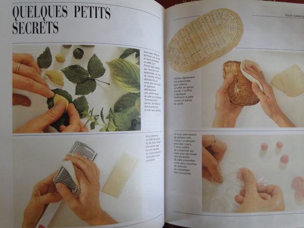 Grands manuels pate à sel, idées, prjets, matériaux, techniques.