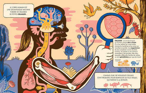 Bienvenue à Cerveauville: Pars à la découverte de ton cerveau