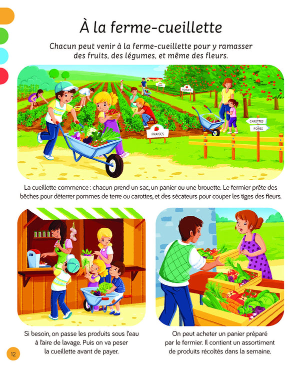 L'imagerie - La ferme