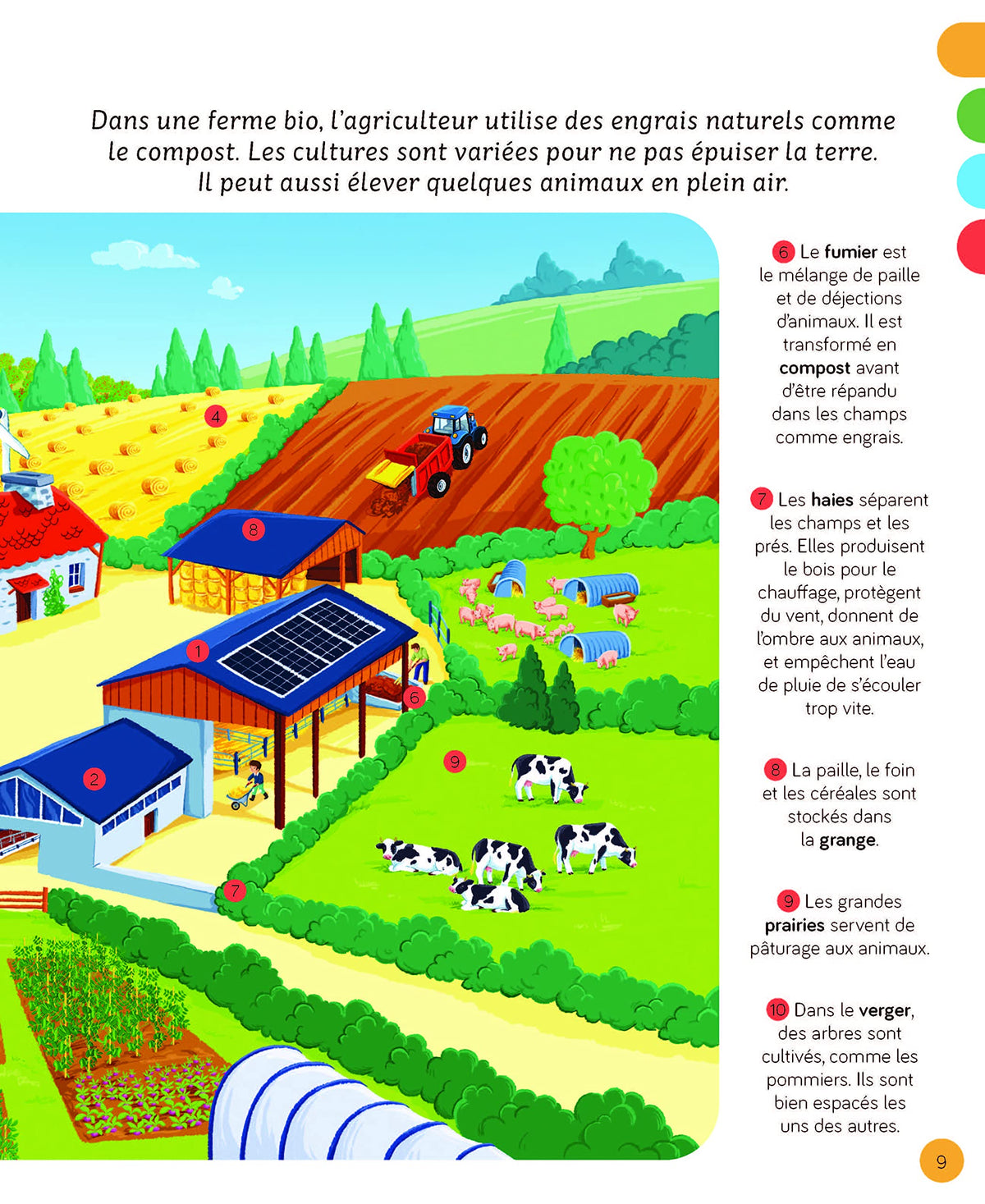 L'imagerie - La ferme