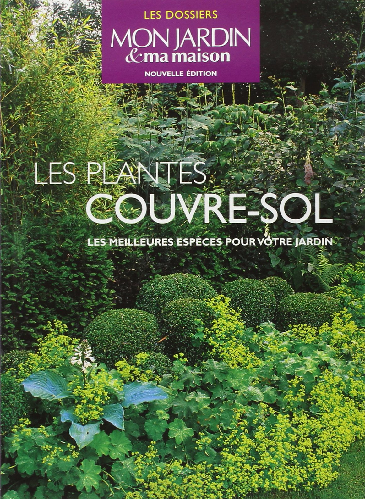 Les plantes couvre-sol: Les meilleures espèces pour votre jardin