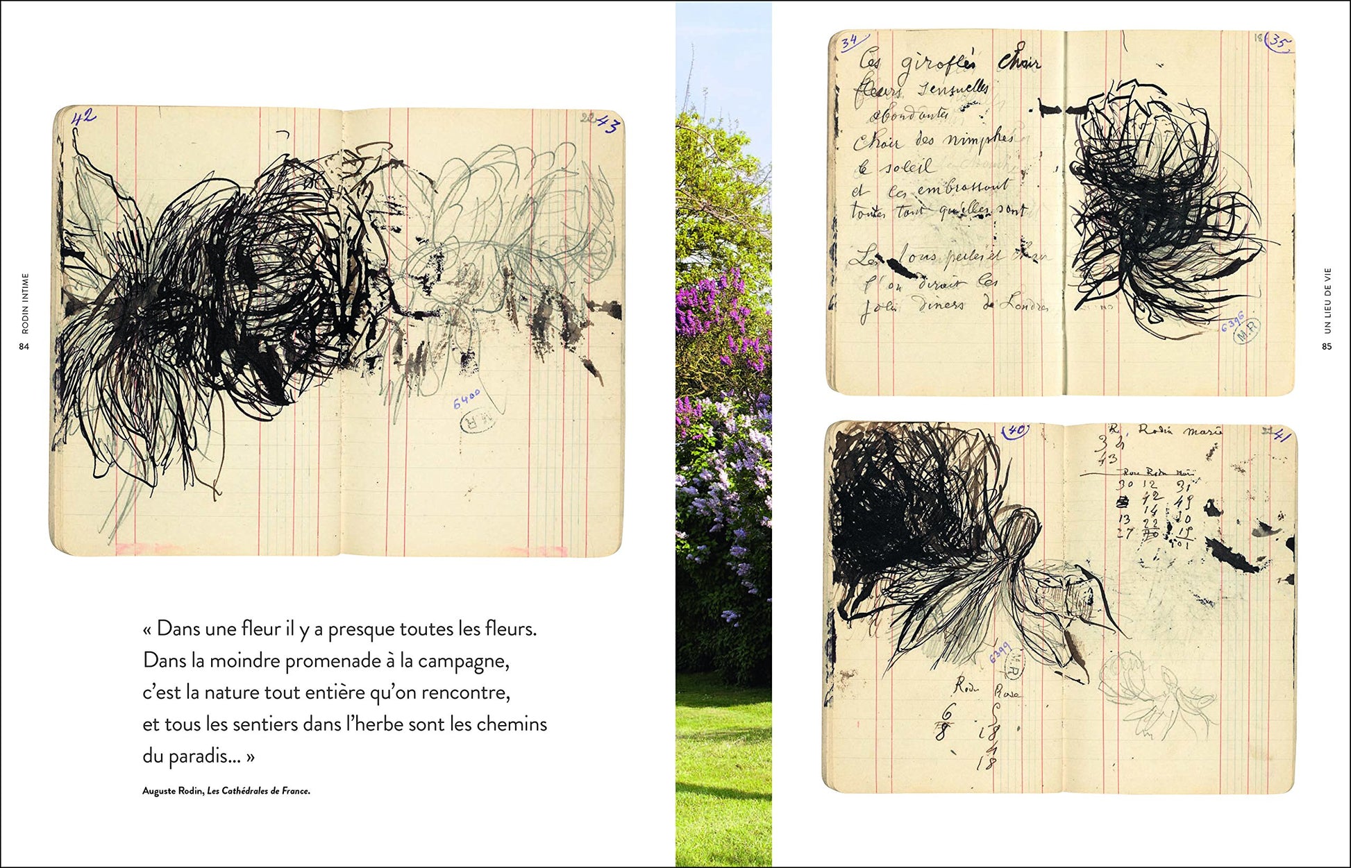 Rodin Intime