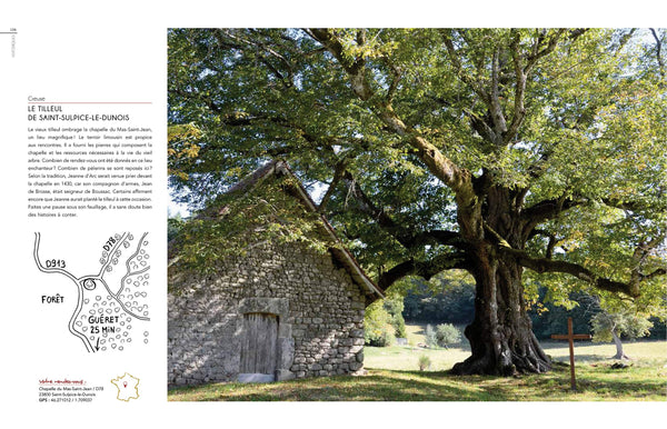 Rendez-vous avec les arbres