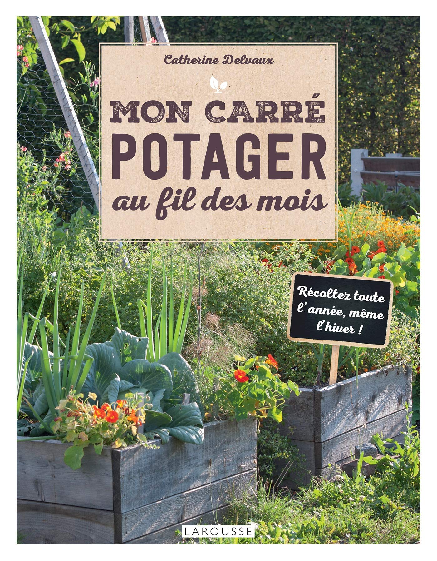 Mon carré potager au fil des mois