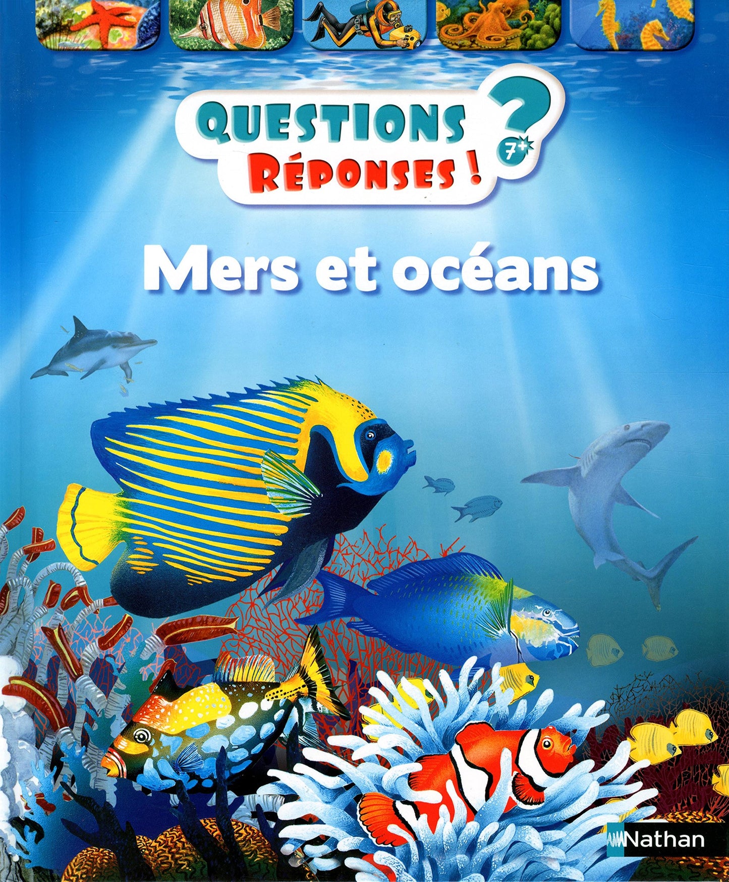 Mers et océans - Questions/Réponses - doc dès 7 ans