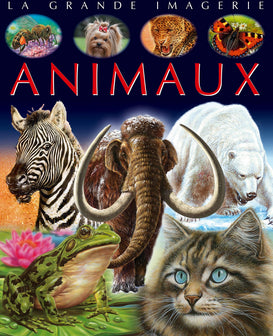 Animaux