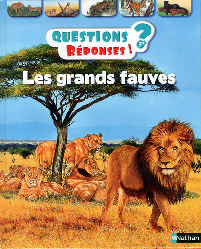 Les grands fauves - Questions/Réponses - doc dès 7 ans
