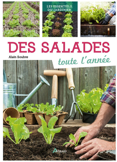 Salades toute l'année (Des)